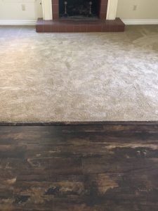 Carpet Flooring | Direct Carpet Unlimited