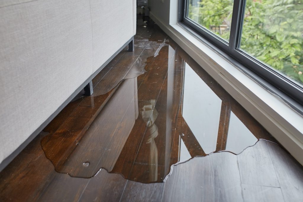 How to Deal with Flood Damage