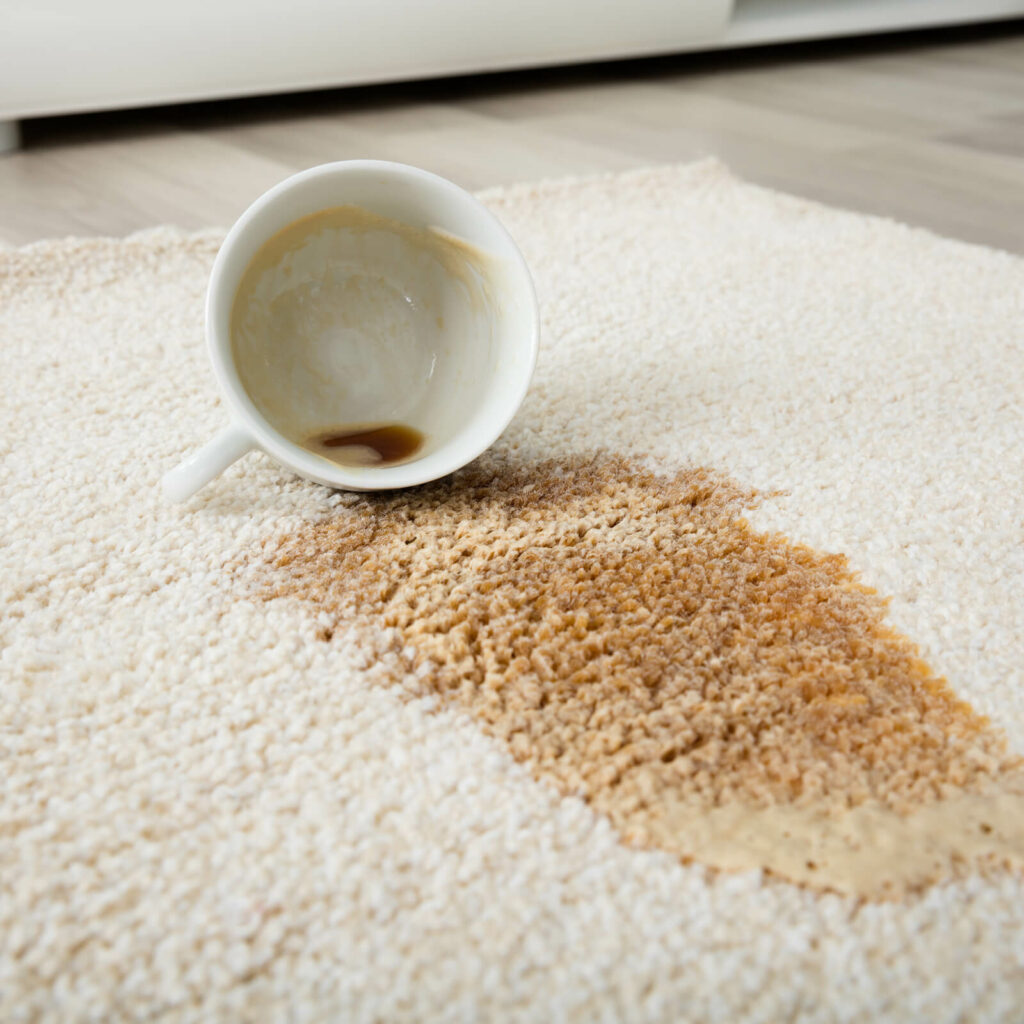 Carpet floor cleaning | Direct Carpet Unlimited